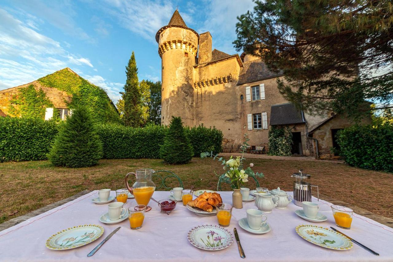 Château de La Garinie Lugan  Extérieur photo